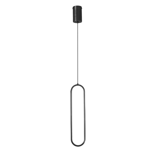 Modern Matte Black Pendant Ceiling Light